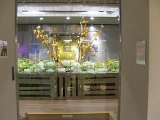Illustration for article titled Visiting an Underground Garden Built in a Former Bank Vault Under Tokyo